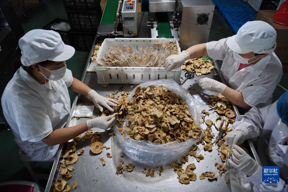 捕鱼游戏网络版